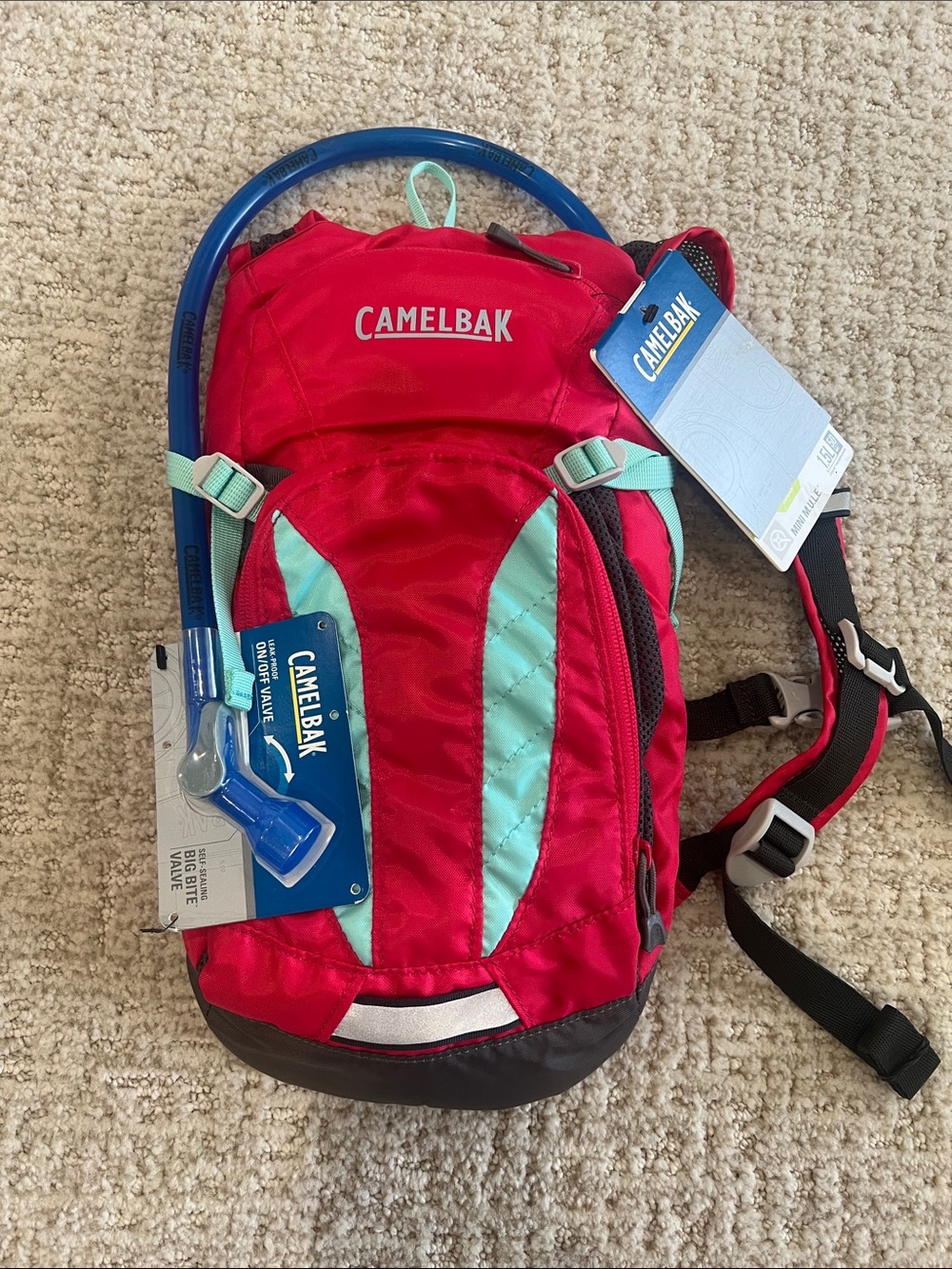 CamelBak Raspberry Backpack with Aqua Accents and Blue Tube